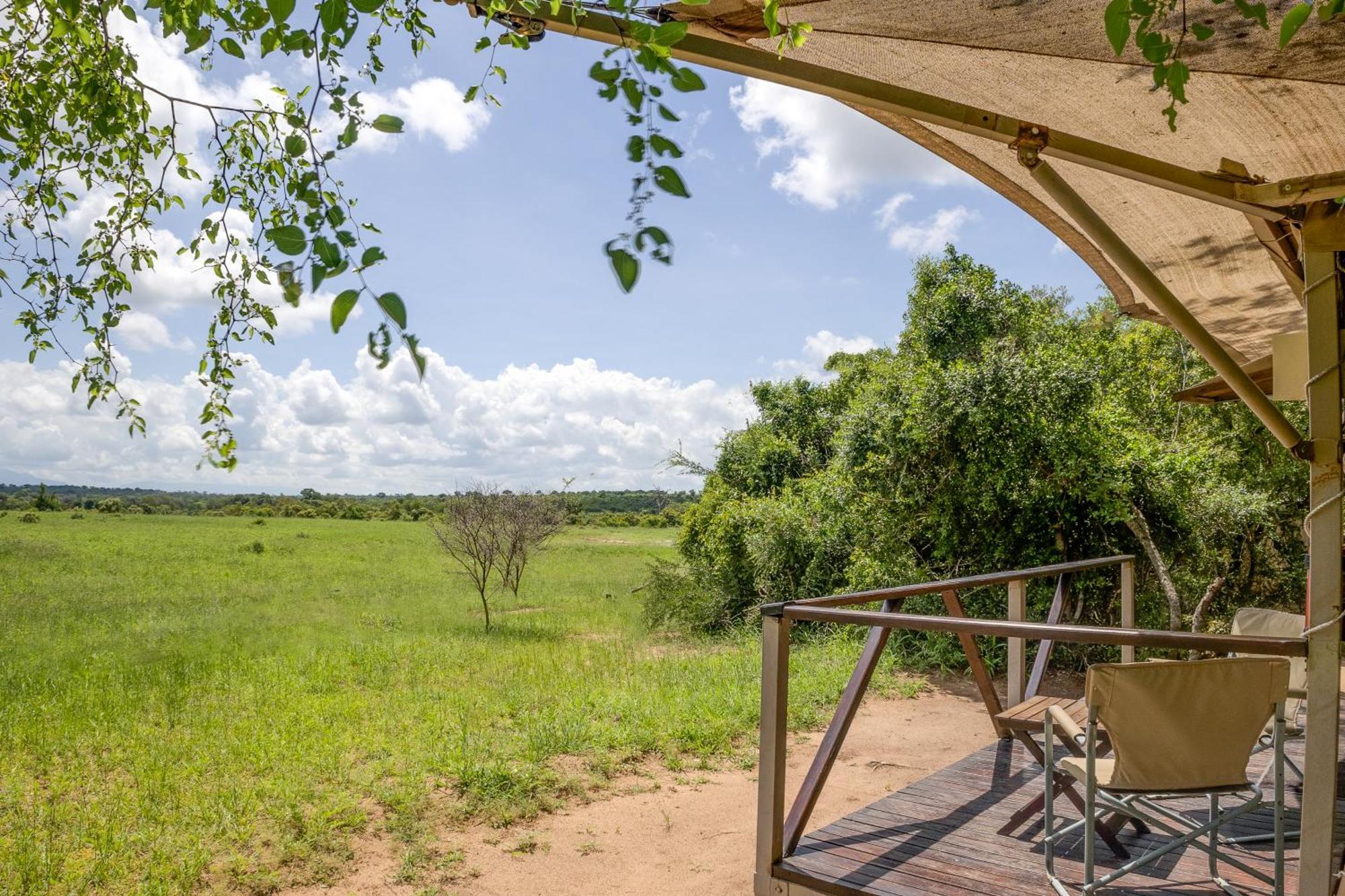 Tangala Safari Camp Villa Thornybush Game Reserve Eksteriør billede