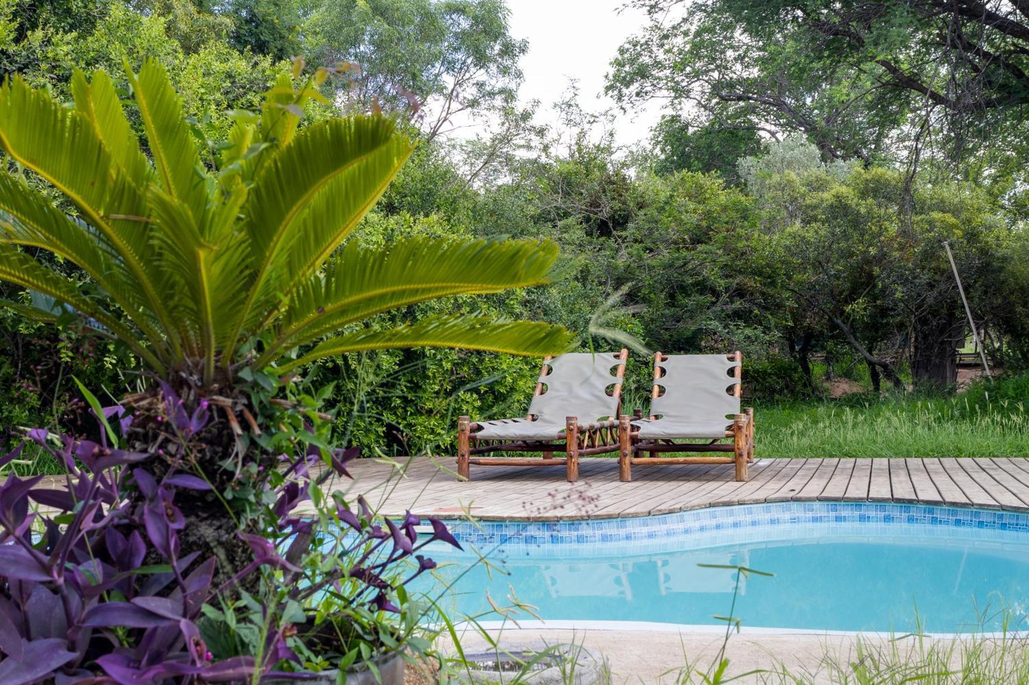 Tangala Safari Camp Villa Thornybush Game Reserve Eksteriør billede