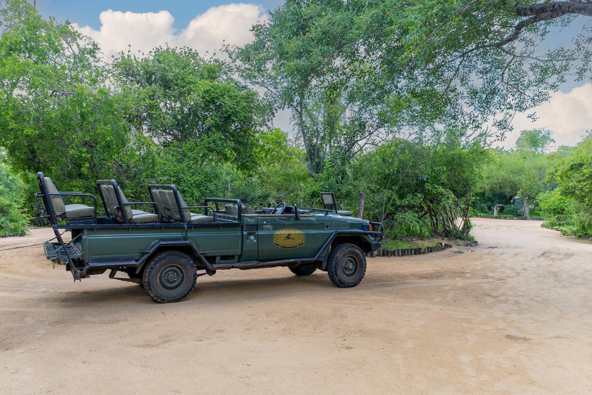 Tangala Safari Camp Villa Thornybush Game Reserve Eksteriør billede