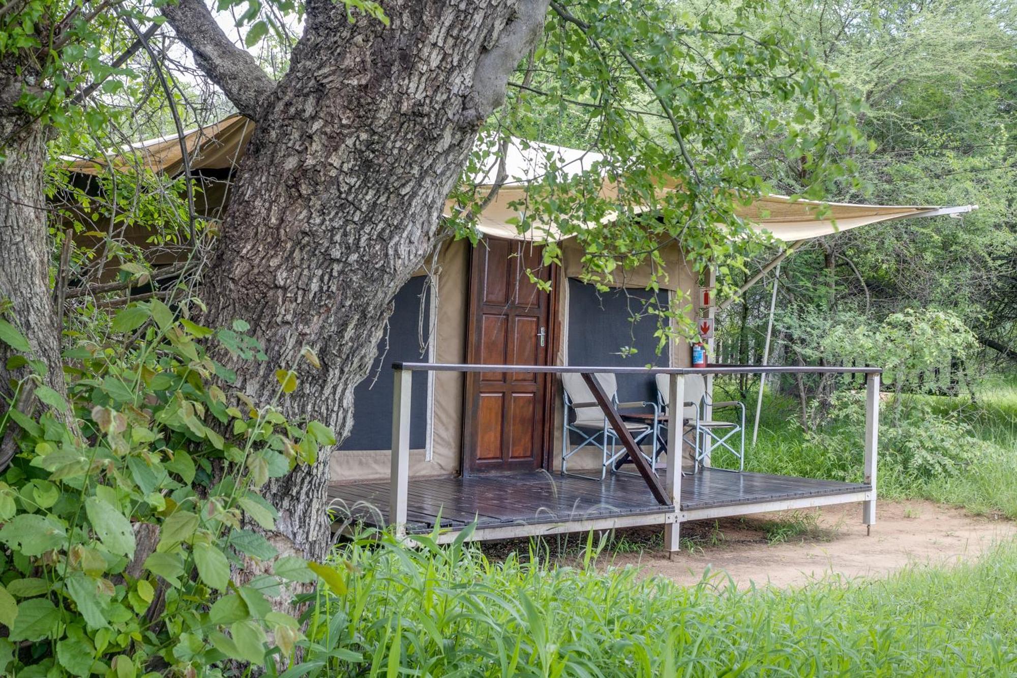 Tangala Safari Camp Villa Thornybush Game Reserve Eksteriør billede
