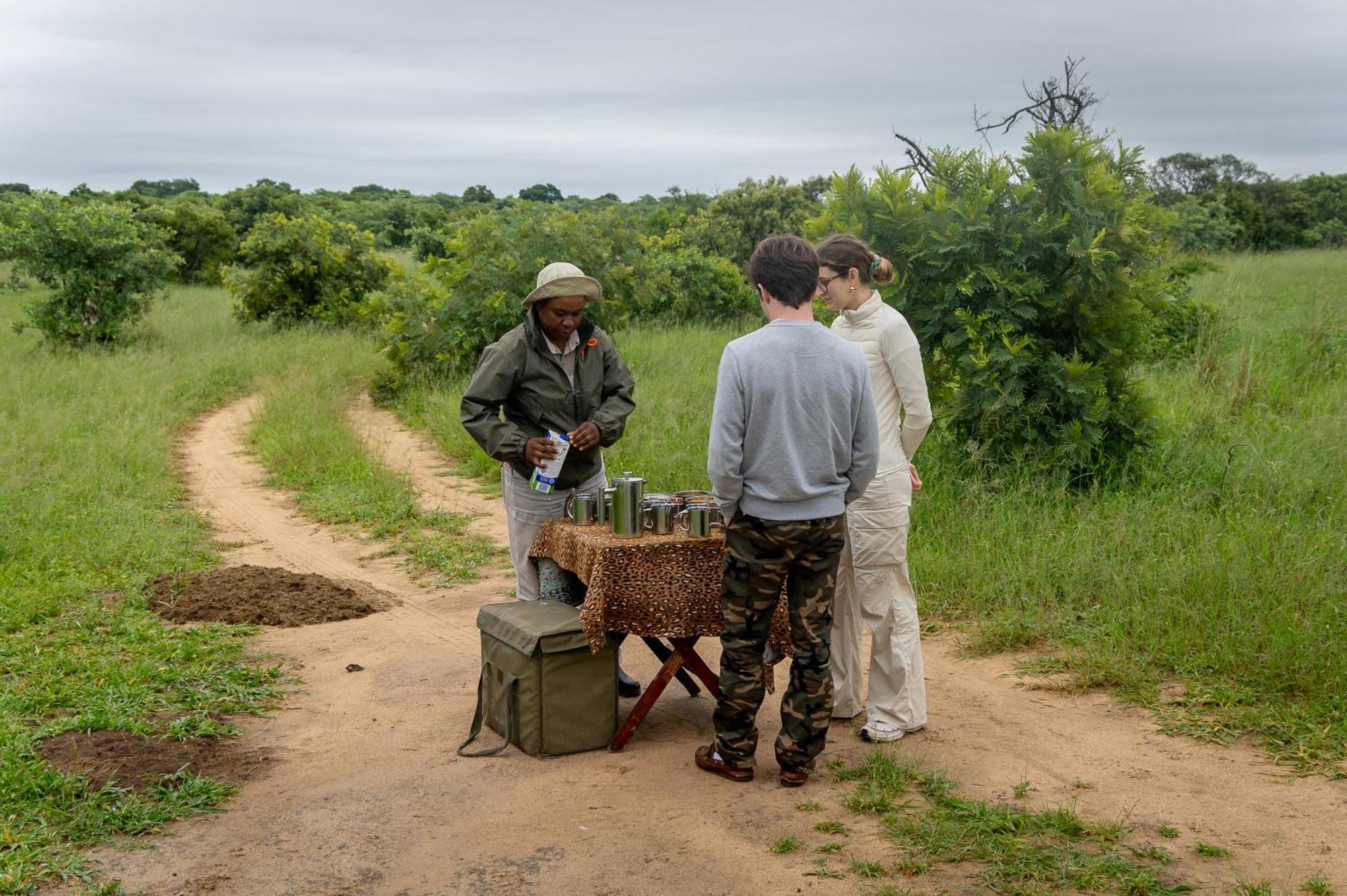 Tangala Safari Camp Villa Thornybush Game Reserve Eksteriør billede