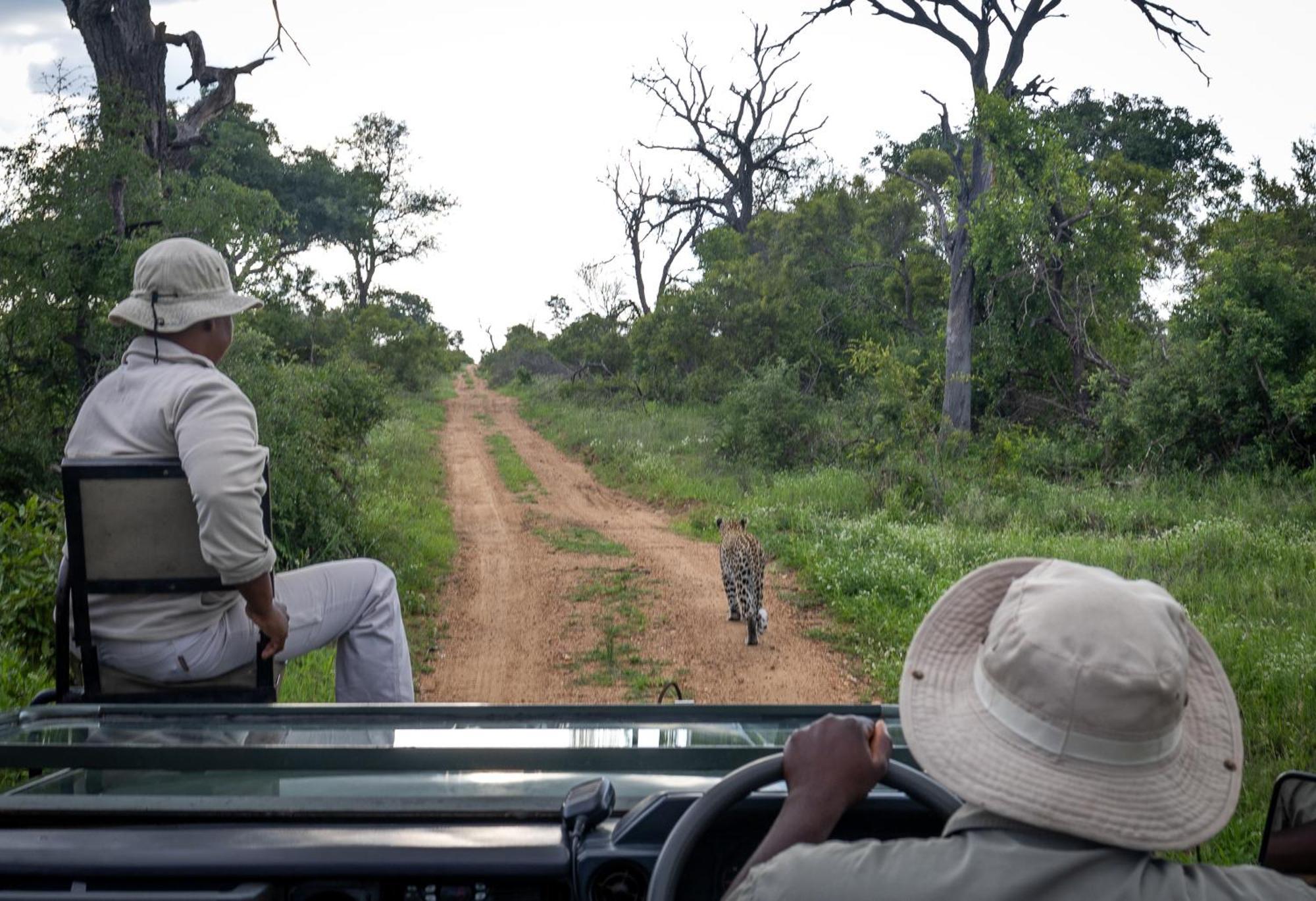Tangala Safari Camp Villa Thornybush Game Reserve Eksteriør billede